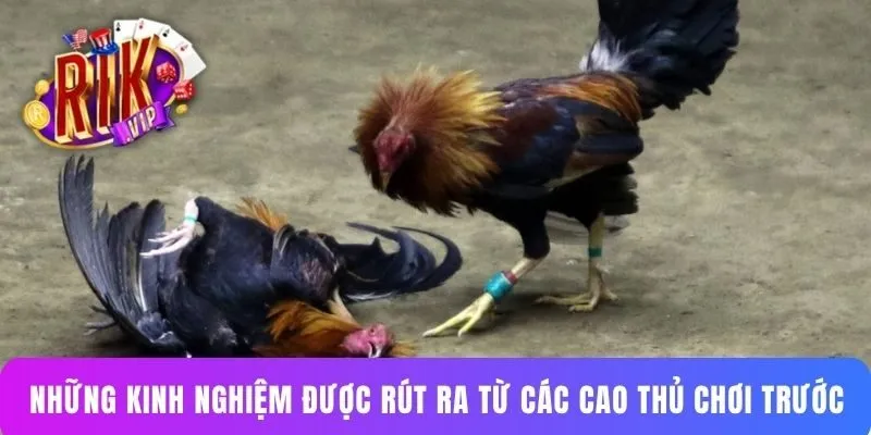 Những kinh nghiệm được rút ra từ các cao thủ chơi trước